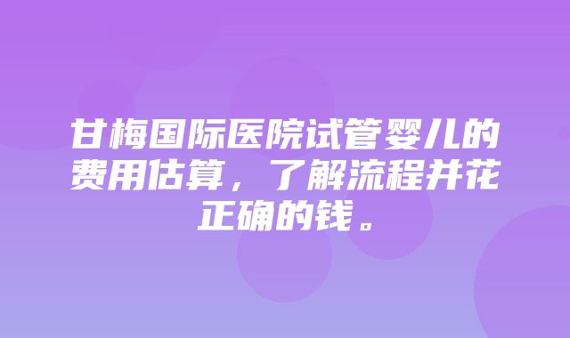 甘梅国际医院试管婴儿的费用估算，了解流程并花正确的钱。