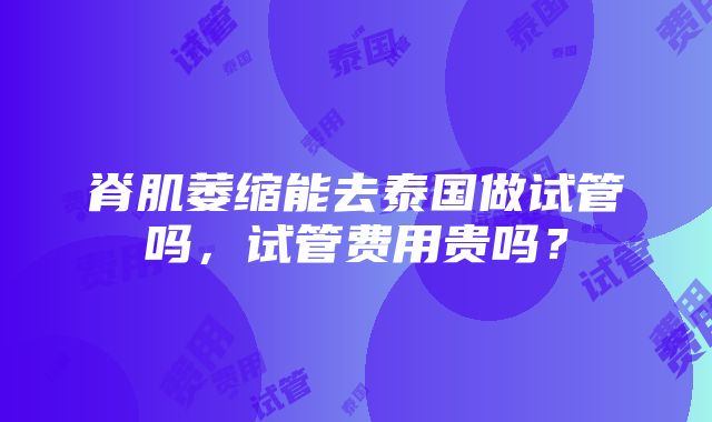 脊肌萎缩能去泰国做试管吗，试管费用贵吗？