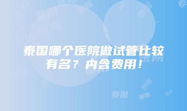 泰国哪个医院做试管比较有名？内含费用！