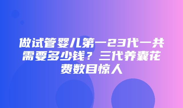 做试管婴儿第一23代一共需要多少钱？三代养囊花费数目惊人