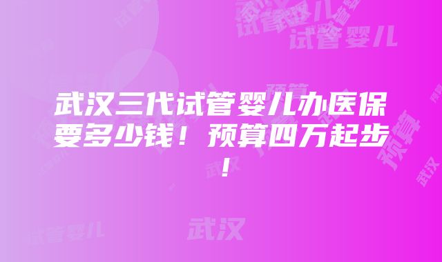 武汉三代试管婴儿办医保要多少钱！预算四万起步！