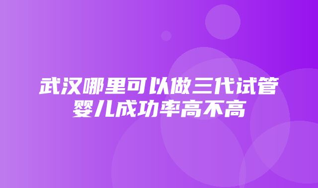 武汉哪里可以做三代试管婴儿成功率高不高