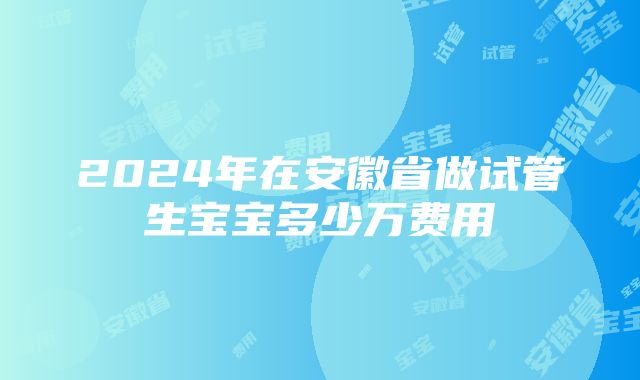 2024年在安徽省做试管生宝宝多少万费用