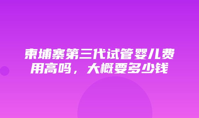 柬埔寨第三代试管婴儿费用高吗，大概要多少钱