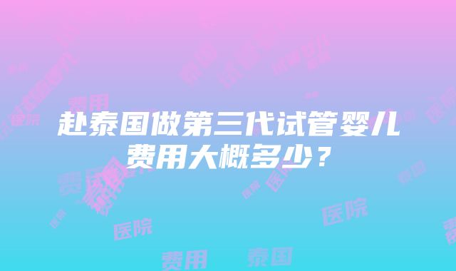 赴泰国做第三代试管婴儿费用大概多少？