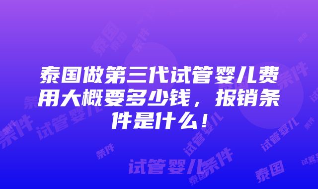 泰国做第三代试管婴儿费用大概要多少钱，报销条件是什么！