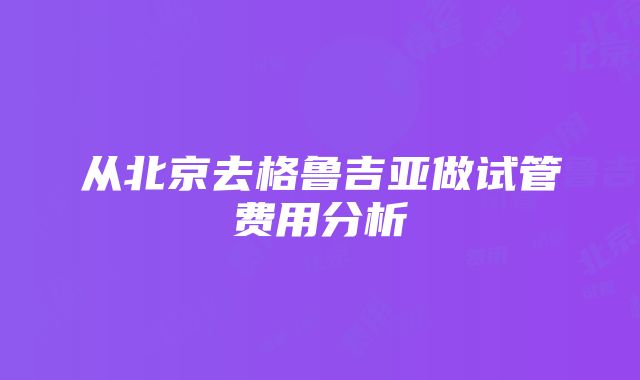 从北京去格鲁吉亚做试管费用分析