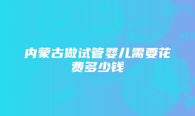 内蒙古做试管婴儿需要花费多少钱