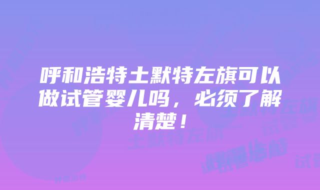 呼和浩特土默特左旗可以做试管婴儿吗，必须了解清楚！