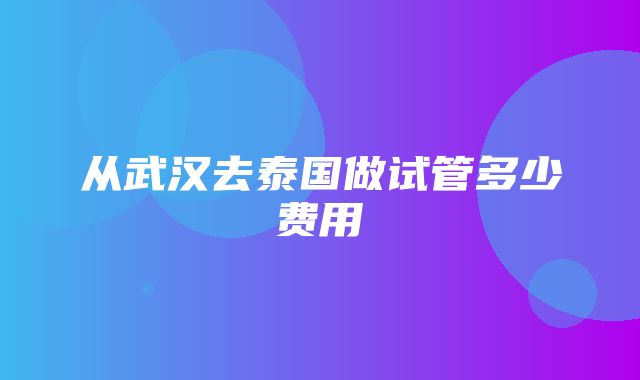 从武汉去泰国做试管多少费用