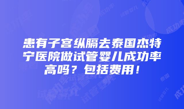 患有子宫纵膈去泰国杰特宁医院做试管婴儿成功率高吗？包括费用！