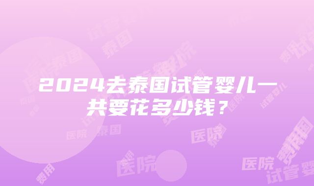 2024去泰国试管婴儿一共要花多少钱？