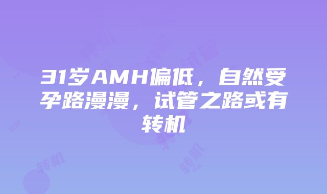 31岁AMH偏低，自然受孕路漫漫，试管之路或有转机