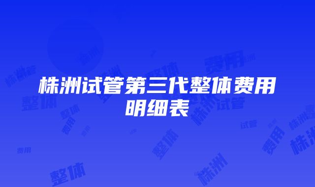 株洲试管第三代整体费用明细表