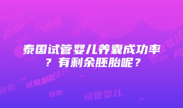 泰国试管婴儿养囊成功率？有剩余胚胎呢？