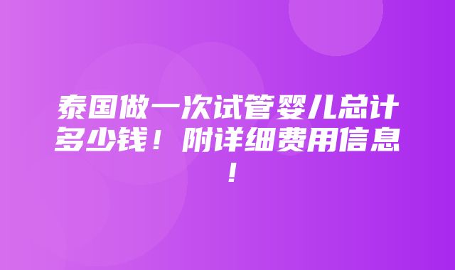 泰国做一次试管婴儿总计多少钱！附详细费用信息！