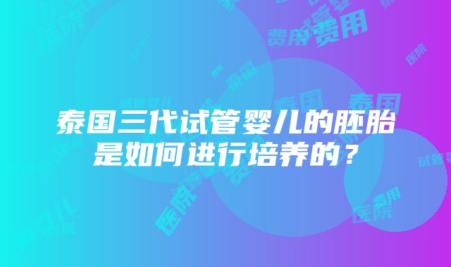 泰国三代试管婴儿的胚胎是如何进行培养的？