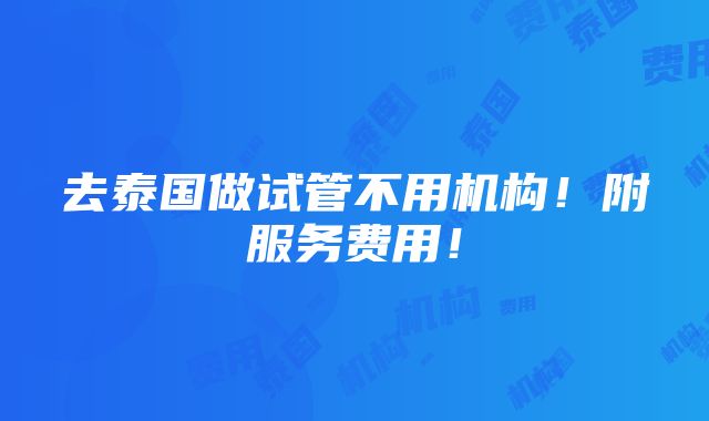 去泰国做试管不用机构！附服务费用！