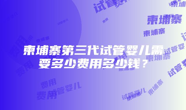 柬埔寨第三代试管婴儿需要多少费用多少钱？