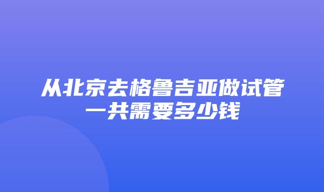 从北京去格鲁吉亚做试管一共需要多少钱