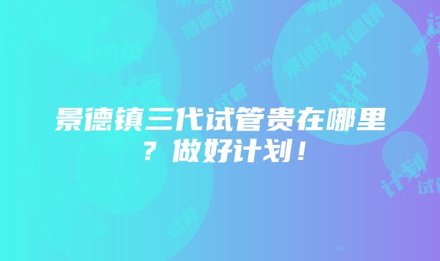 景德镇三代试管贵在哪里？做好计划！