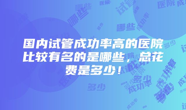 国内试管成功率高的医院比较有名的是哪些，总花费是多少！