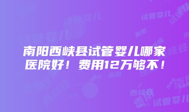 南阳西峡县试管婴儿哪家医院好！费用12万够不！