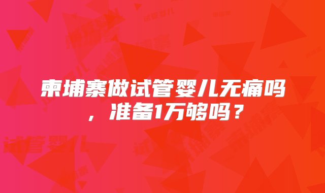 柬埔寨做试管婴儿无痛吗，准备1万够吗？