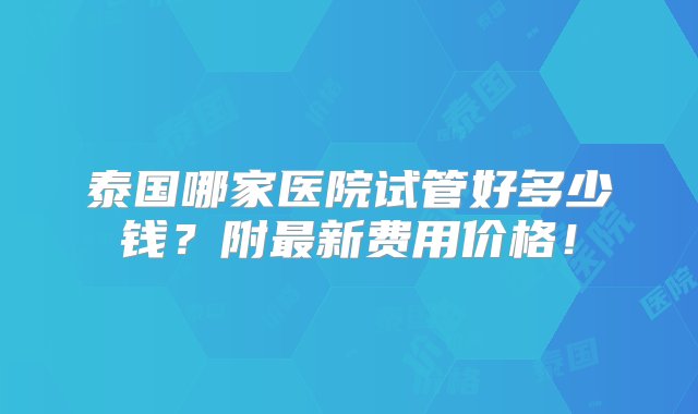 泰国哪家医院试管好多少钱？附最新费用价格！