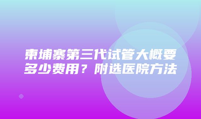 柬埔寨第三代试管大概要多少费用？附选医院方法