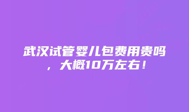 武汉试管婴儿包费用贵吗，大概10万左右！