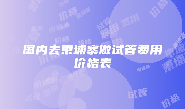 国内去柬埔寨做试管费用价格表