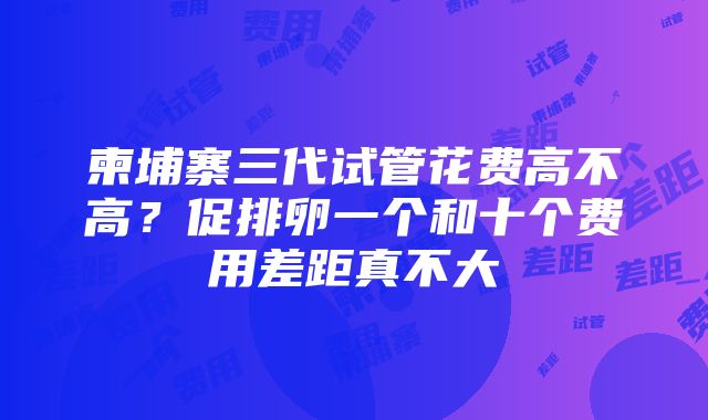 柬埔寨三代试管花费高不高？促排卵一个和十个费用差距真不大