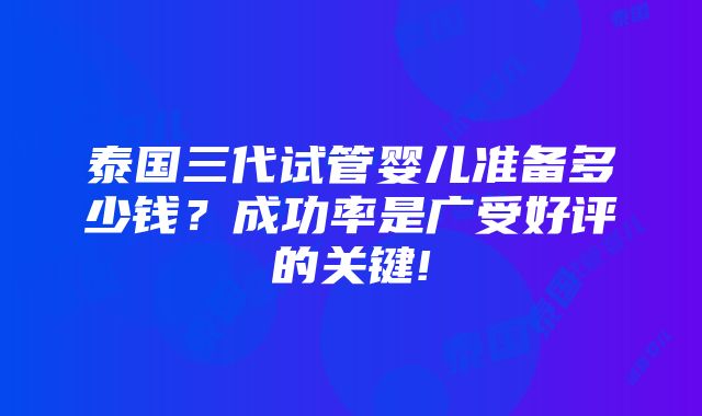 泰国三代试管婴儿准备多少钱？成功率是广受好评的关键!