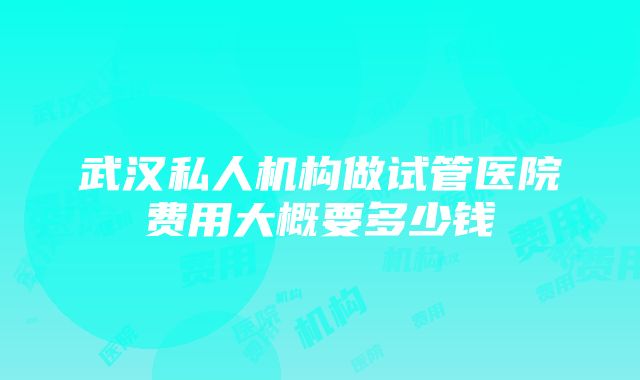 武汉私人机构做试管医院费用大概要多少钱