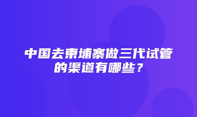 中国去柬埔寨做三代试管的渠道有哪些？