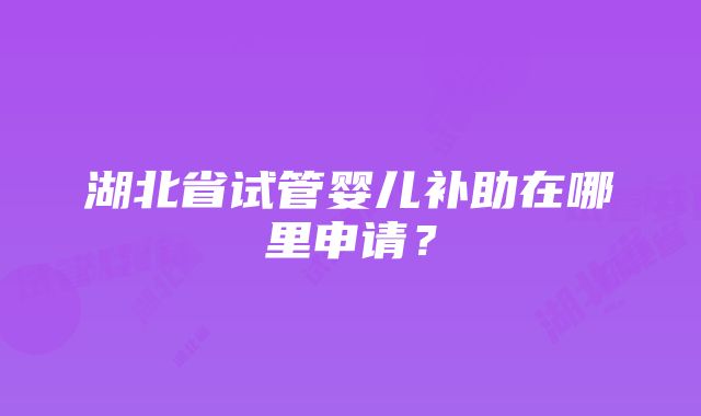 湖北省试管婴儿补助在哪里申请？