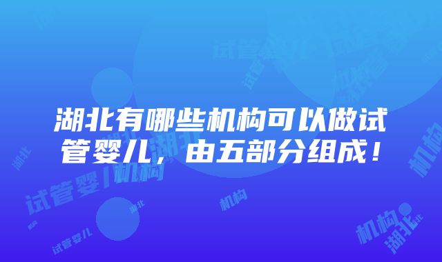 湖北有哪些机构可以做试管婴儿，由五部分组成！