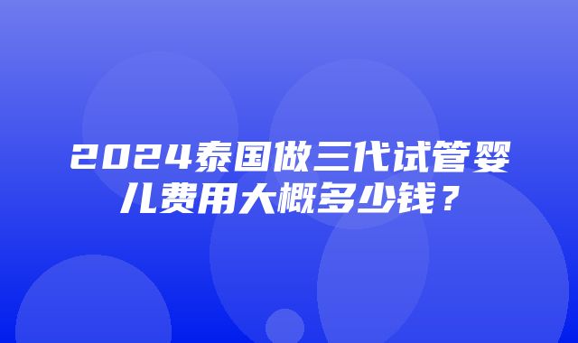 2024泰国做三代试管婴儿费用大概多少钱？