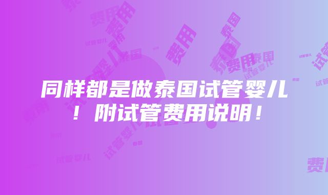 同样都是做泰国试管婴儿！附试管费用说明！