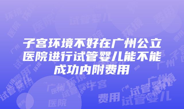 子宫环境不好在广州公立医院进行试管婴儿能不能成功内附费用