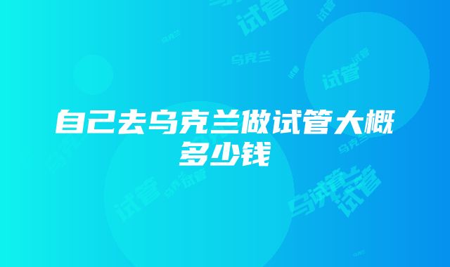 自己去乌克兰做试管大概多少钱