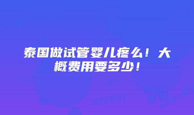 泰国做试管婴儿疼么！大概费用要多少！