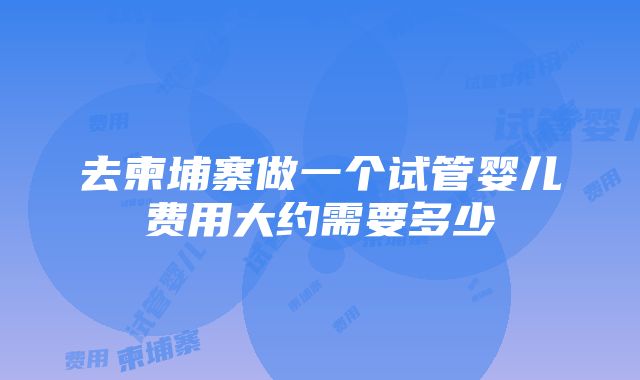 去柬埔寨做一个试管婴儿费用大约需要多少