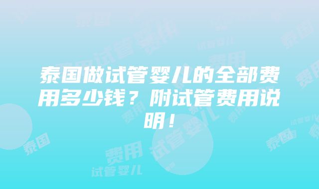 泰国做试管婴儿的全部费用多少钱？附试管费用说明！