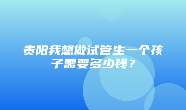 贵阳我想做试管生一个孩子需要多少钱？