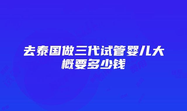 去泰国做三代试管婴儿大概要多少钱