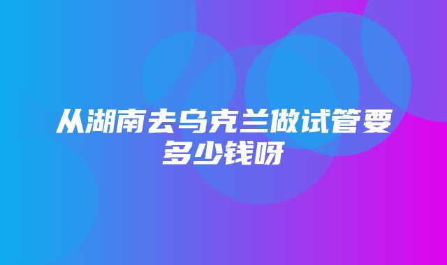 从湖南去乌克兰做试管要多少钱呀