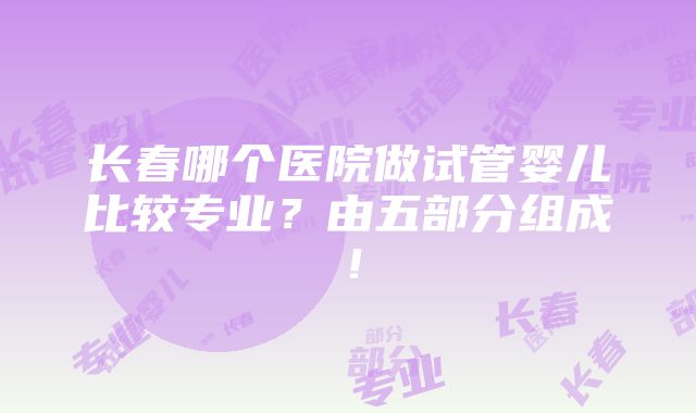 长春哪个医院做试管婴儿比较专业？由五部分组成！