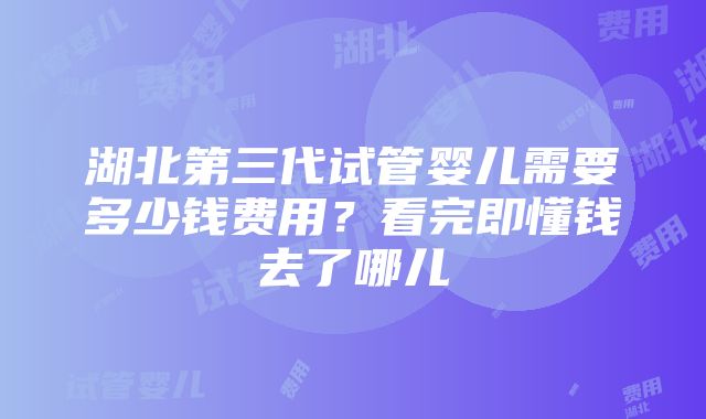 湖北第三代试管婴儿需要多少钱费用？看完即懂钱去了哪儿